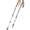L.L.Bean Hikelite Antishock Hiking Poles