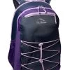 L.L.Bean 30 L Comfort Carry Laptop Pack -L.L.Bean Shop 91zO51nDUvL. AC SR736920